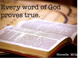 Word of God - every word proves true